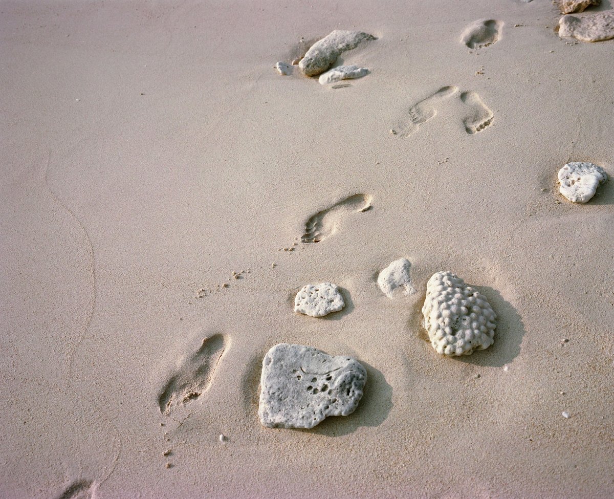 Fußspuren im hellen Sand zwischen ausgeblichenen Korallenstücken