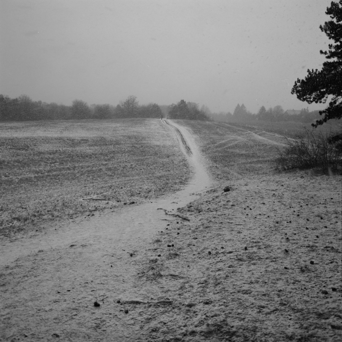 Ein Fußweg steigt durch ein offenes Feld im Schneefall, weit vorn eine Gestalt